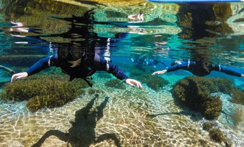 Rio Sucuri – Bonito: Rio mais Cristalino do Brasil