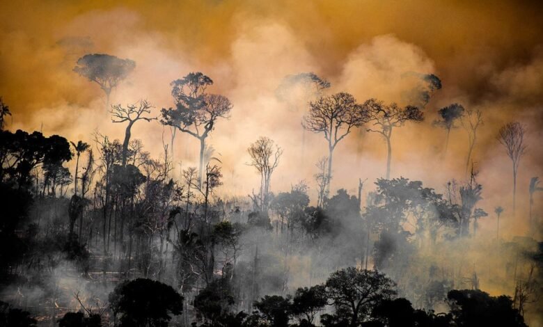 Cientistas apontam o desmatamento como causa da redução de chuvas na Amazônia