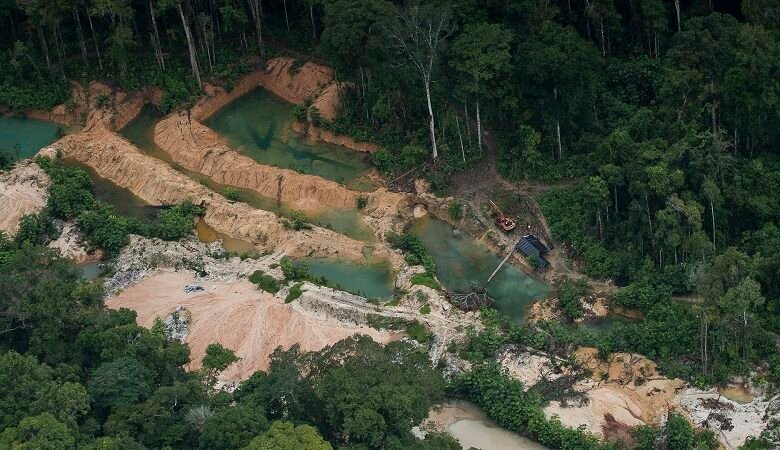 Indígenas Kaixana, no Amazonas, denunciam garimpo ilegal em seu território