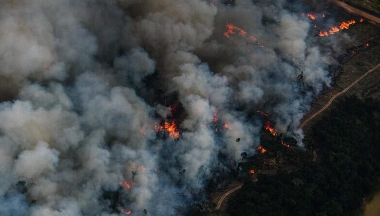 O equivalente a quase mil campos de futebol foi desmatado na Amazônia, por dia, nos três primeiros meses de 2023