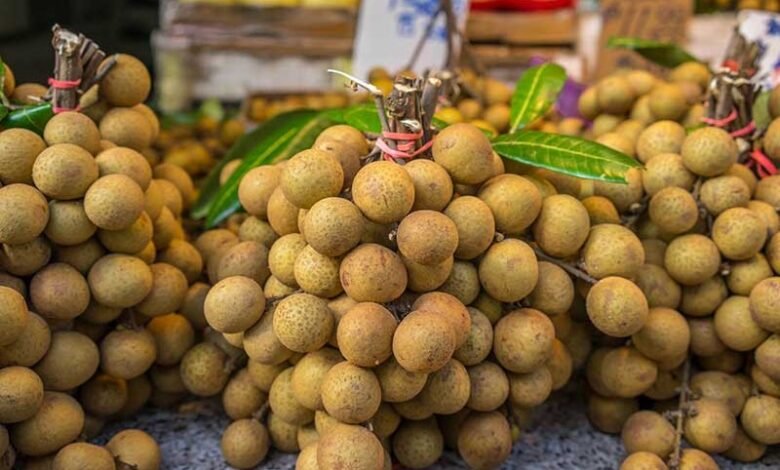 Já que é pra tombar, ‘pitombei’: conheça a pitomba, fruta da Amazônia