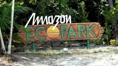 https://www.famamazonica.com.br/2024/12/19/amazon-ecopark-jungle-lodge-manaus-destaque-empresarial-2024