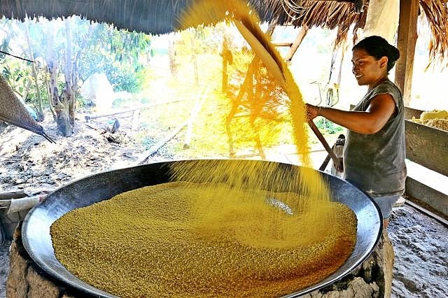 Farinha de Uarini é declarada Patrimônio Cultural do Amazonas