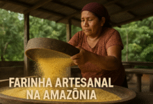 🌽 Farinha Artesanal na Amazônia: Tradição que Alimenta e Ensina