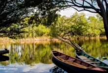 Fama Amazônica destaca o ecoturismo na Amazônia: você vai se surpreender!