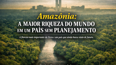 Amazônia: A Maior Riqueza do Mundo em um País Sem Planejamento