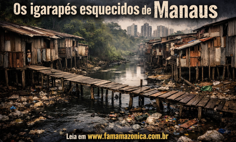 Os igarapés esquecidos de Manaus