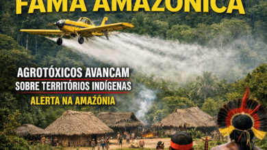 Agrotóxicos avançam sobre territórios indígenas e acendem alerta na Amazônia
